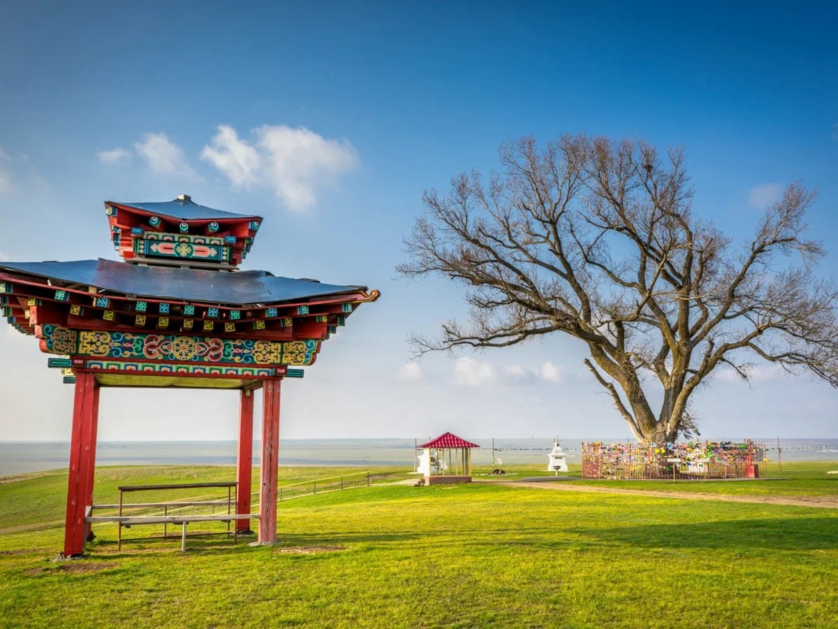 Одинокий тополь